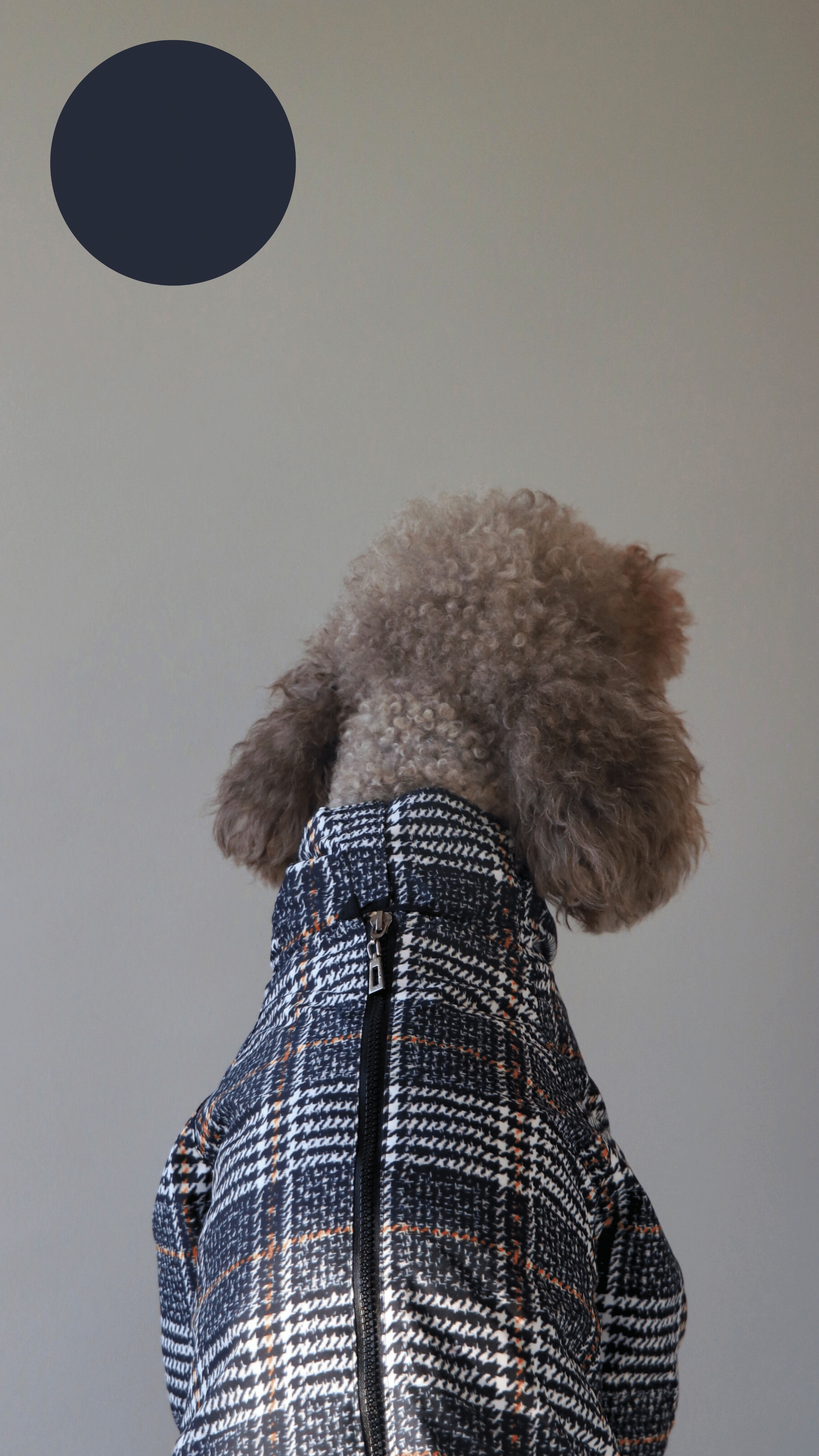PLAID YAĞMURLUK